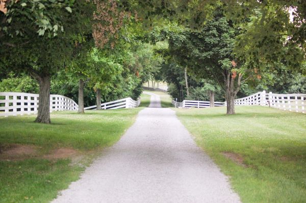 Grow your Rock Driveway Installation business